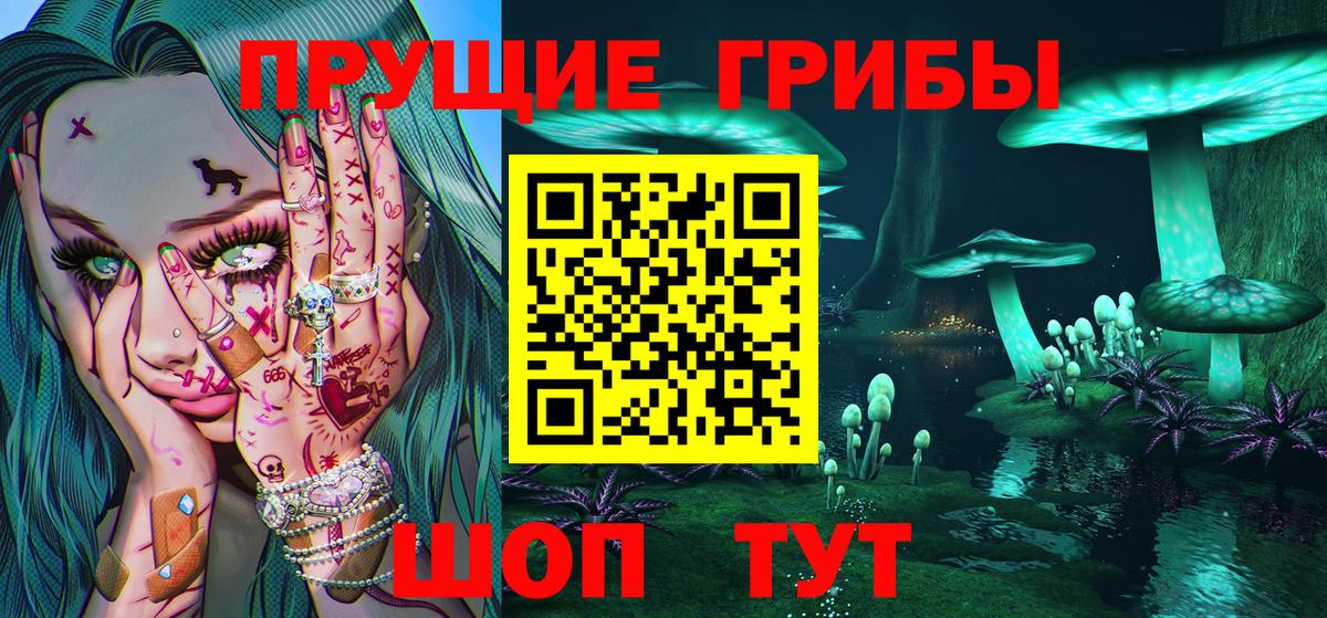 Псилоцибиновые грибы Psilocybe Новочебоксарск